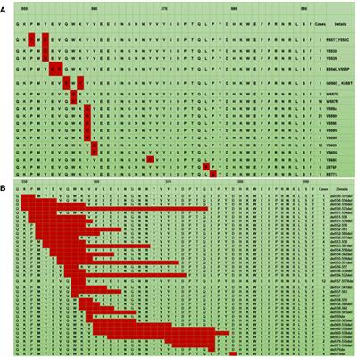 Molecular landscape and clinical significance of exon 11 mutations in KIT gene among patients with gastrointestinal stromal tumor: a retrospective exploratory study